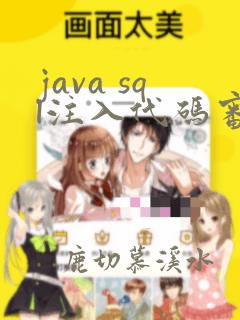 java sql注入代码审计