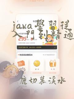 java学习从入门到精通