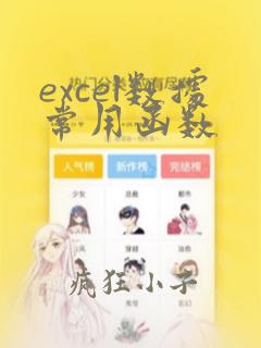 excel数据常用函数