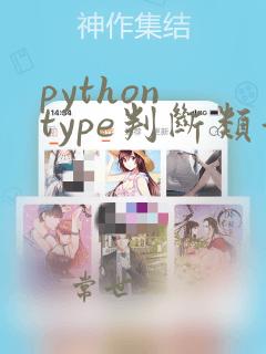 python type判断类型