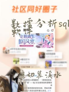 数据分析sql软件