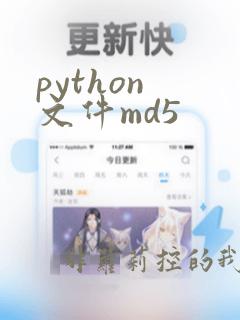 python 文件md5