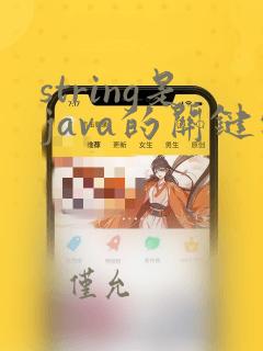 string是java的关键字
