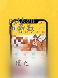 python in函数