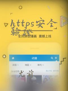 https安全验证