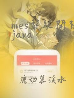 mes系统开发java