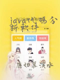 java代码分析软件