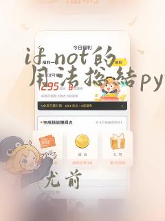 if not的用法总结python