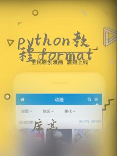 python教程format