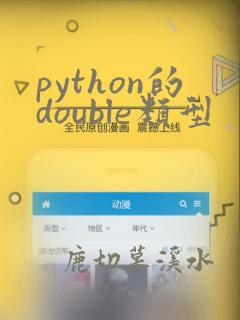 python的double类型