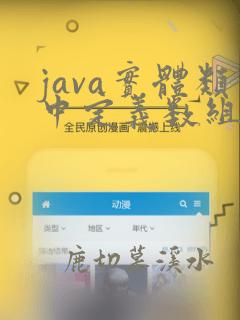 java实体类中定义数组