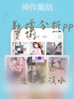 数据分析ppt实例