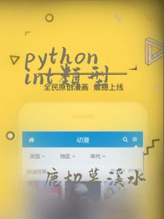 python int类型