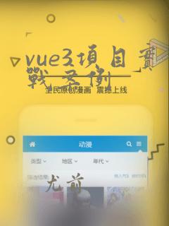 vue3项目实战案例