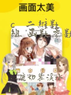c   二维数组 函数参数
