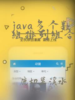 java多个数组排列组合