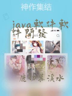 java软件软件开发