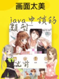 java中锁的类型