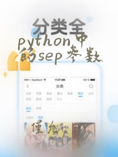 python中的sep参数