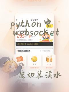 python中 websocket