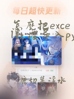 怎么把excel数据导入python