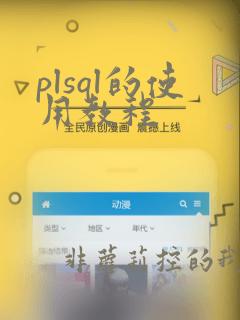 plsql的使用教程