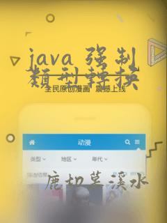 java 强制类型转换