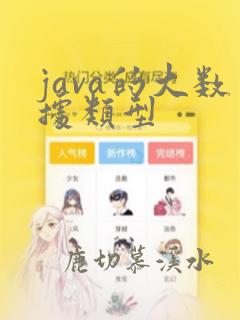 java的大数据类型