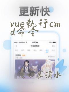 vue执行cmd命令