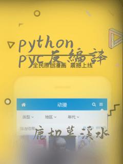 python pyc反编译