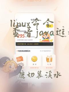 linux命令查看java进程