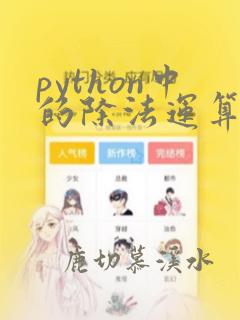 python中的除法运算符