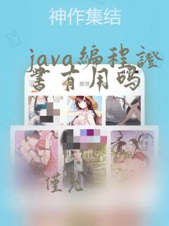 java编程证书有用吗