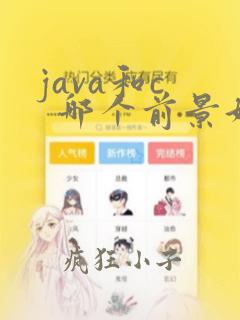 java和c 哪个前景好