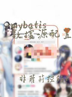mybatis数据源配置