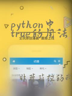 python中true的用法