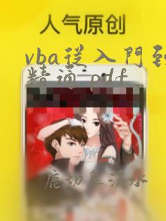 vba从入门到精通 pdf
