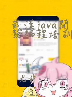 武汉java开发编程培训班