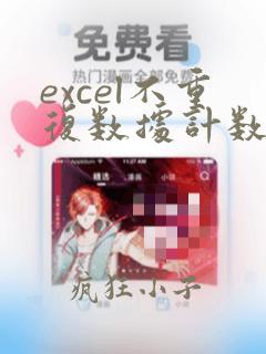 excel不重复数据计数