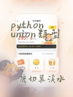 python union类型