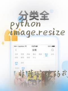 python image.resize