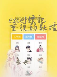 excel标记重复的数据