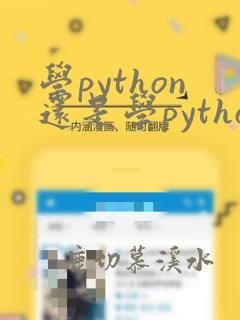 学python还是学python