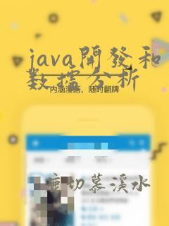 java开发和数据分析
