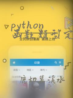 python 函数类型定义