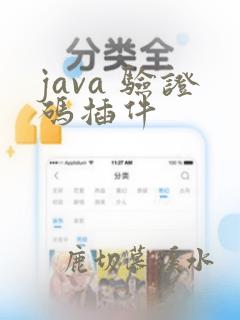 java 验证码插件