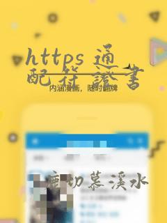 https 通配符 证书