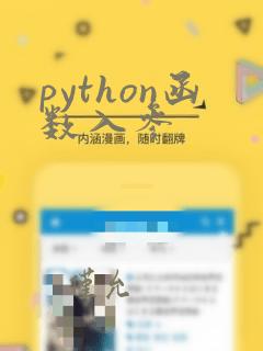 python函数入参