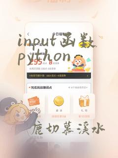 input函数python