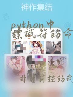 python中标识符的命名规则